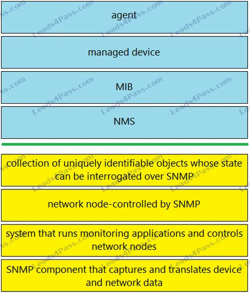 CCNA 200-301 online Practice Questions 7